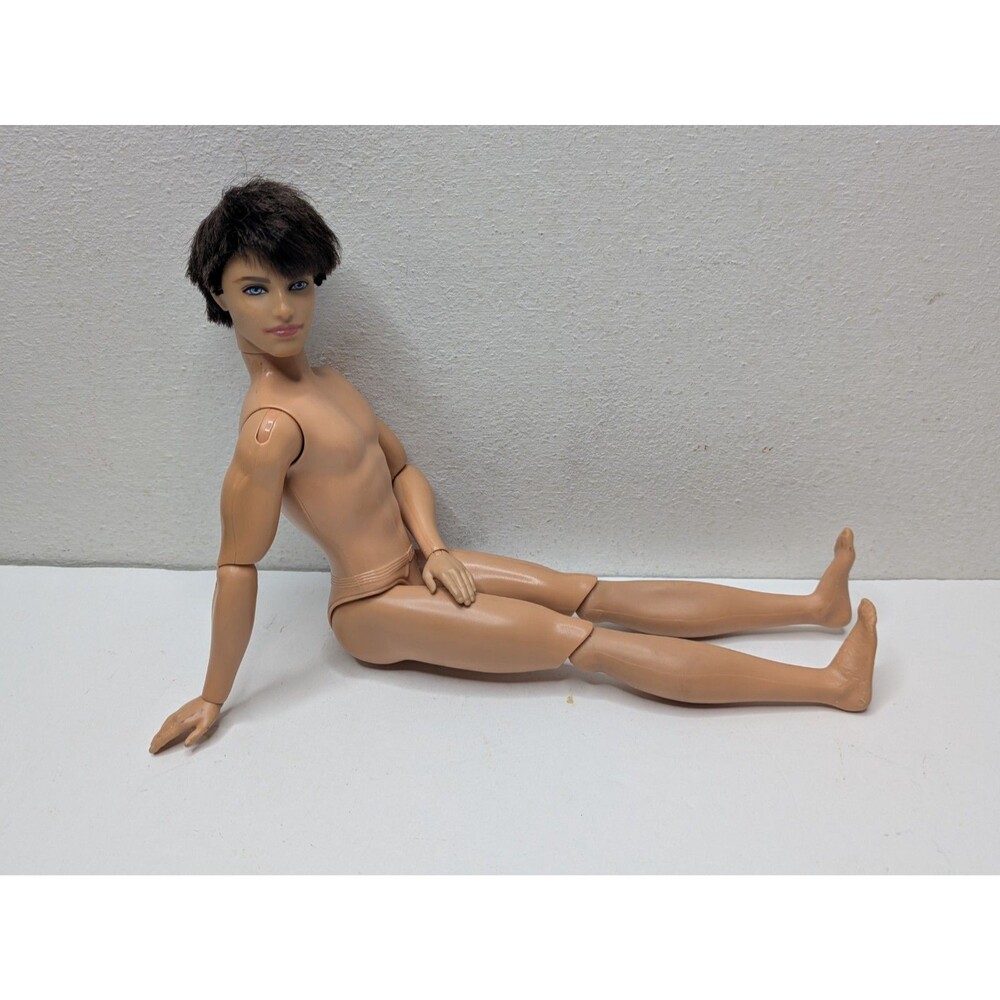 Barbie Ken Rooted Brown Hair RYAN Dreamhouse Articulated Doll Blue Eyes OOAK